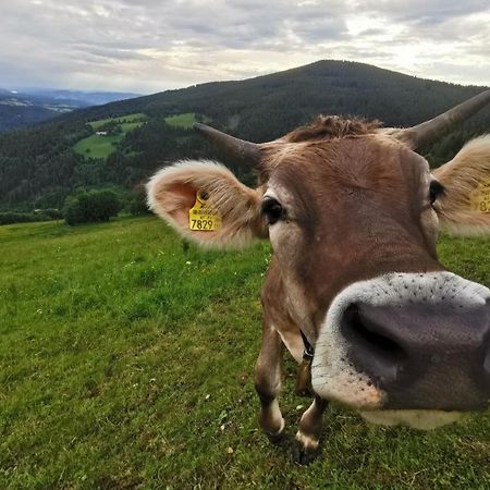 Alpengasthof Fernblick Mönichkirchen Buitenkant foto