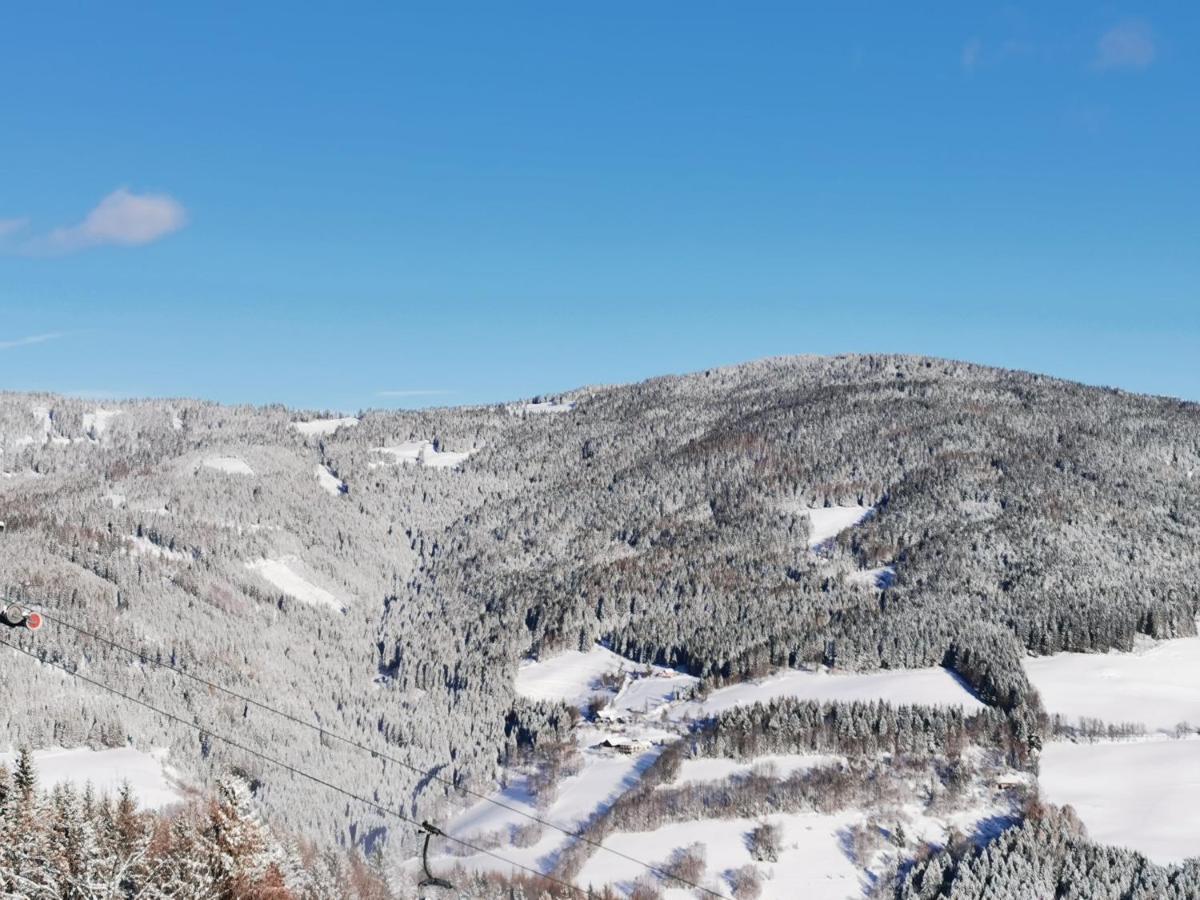 Alpengasthof Fernblick Mönichkirchen Buitenkant foto