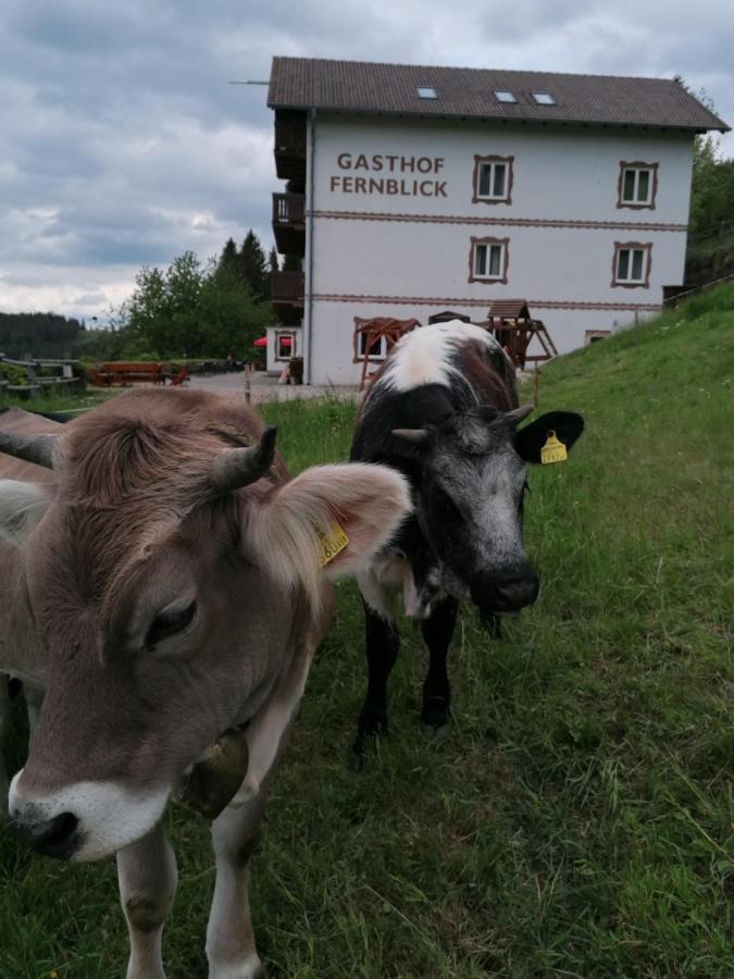 Alpengasthof Fernblick Mönichkirchen Buitenkant foto